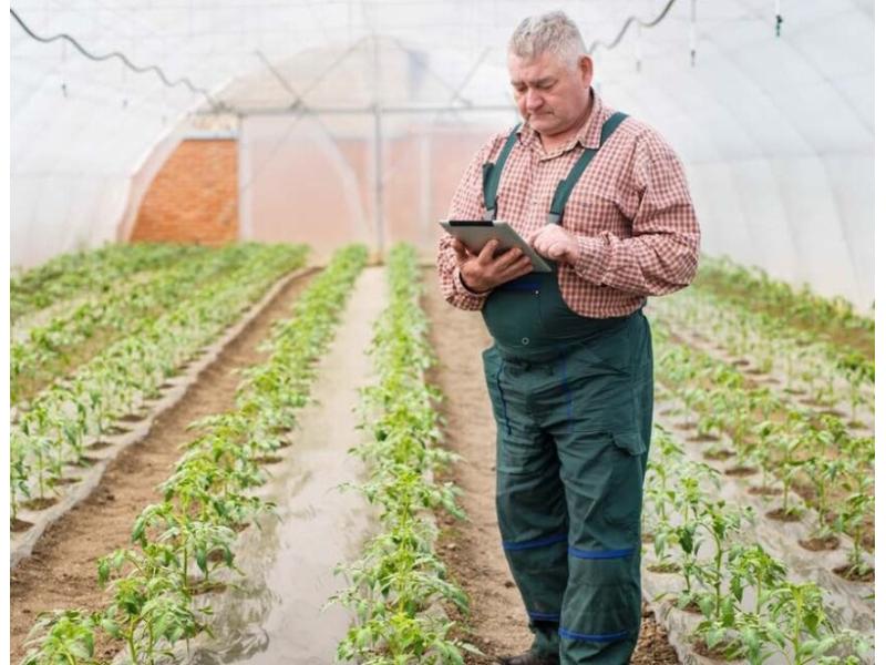 Cambium Networks, coltivare il futuro dell'agricoltura con il Wi-Fi 6