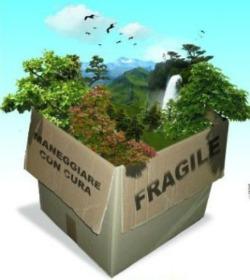 Toh, chi si rivede: il Sistri torna all’attacco