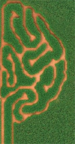 La forza di un ecosistema per pensare più in grande