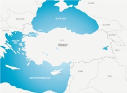 Il comparto sicurezza in Turchia: fotografia del mercato e sviluppi futuri