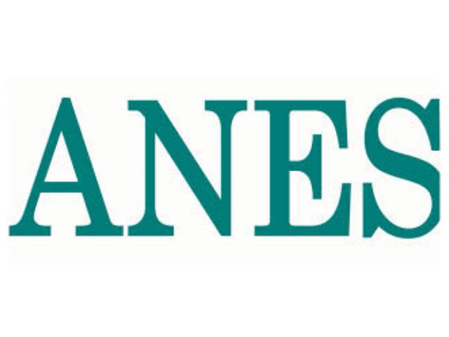 ANES, rinnovata la Giunta dell'Associazione, attiva e produttiva in un mercato in evoluzione 