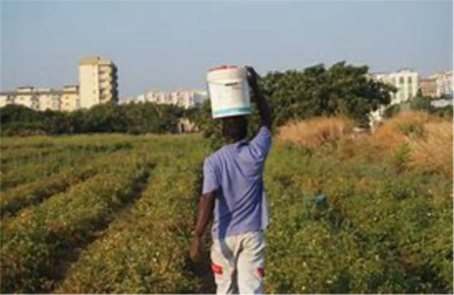 Videosorveglianza in Sicilia contro il caporalato, bando da 12 milioni di euro