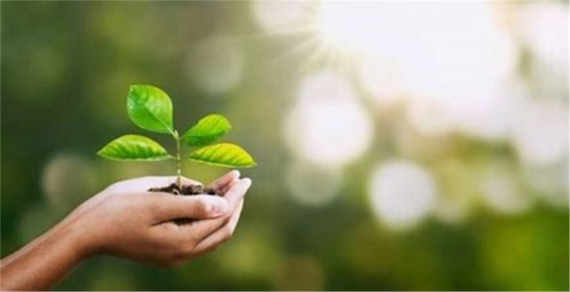 Security goes green