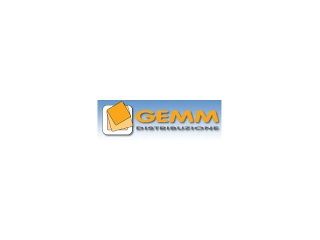 Accordo di distribuzione tra Gemm Informatica e Level One