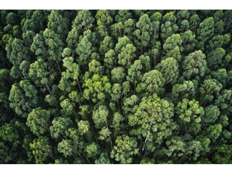 Pubblicata la norma UNI EN ISO 14002, focus sui sistemi di gestione ambientale