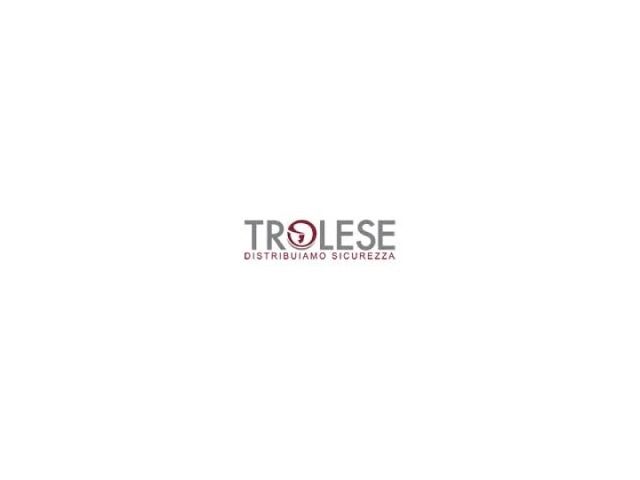 Trolese: un corso per presentare la nuova piattaforma Digifort 7.0