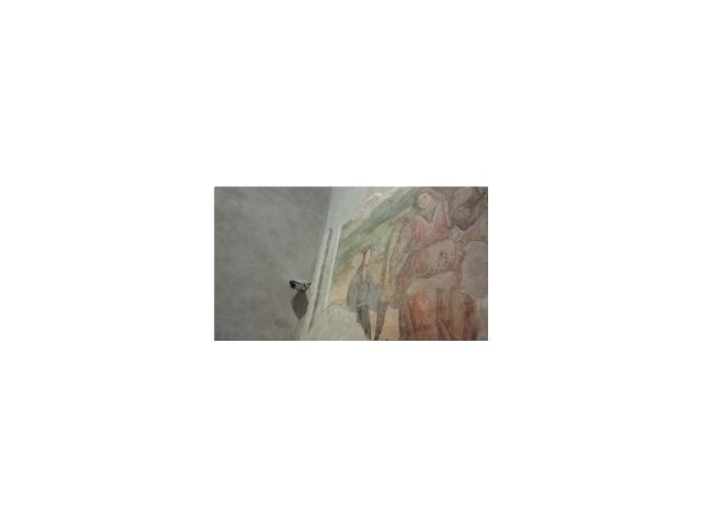 La Fondazione Enzo Hruby per la protezione del patrimonio culturale
