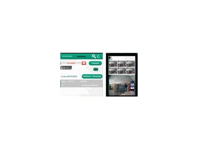 Centrale di allarme con videoverifica Wolf Safety