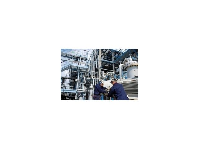 Sicurezza: DuPont Online Safety Perception Survey 