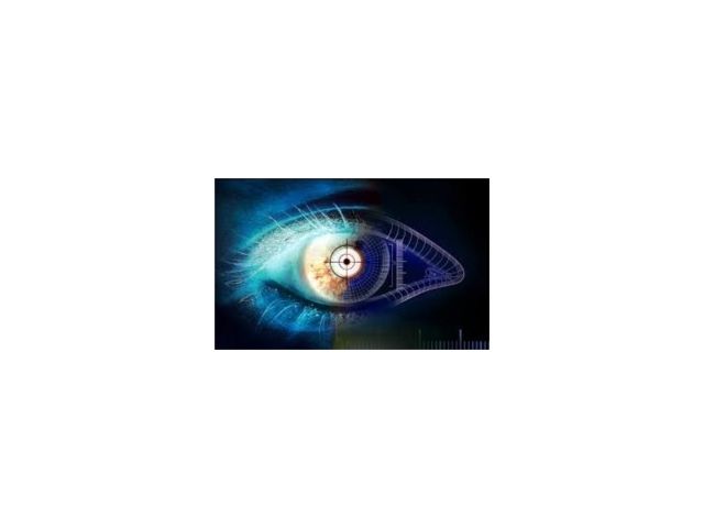 Sicurezza dei pagamenti, sì alla biometria 