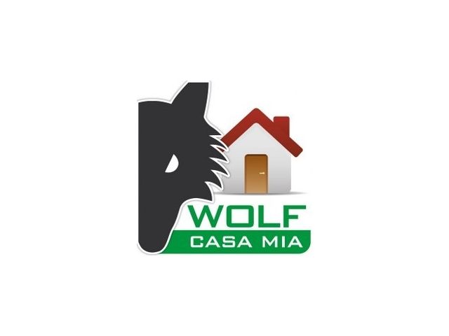 APP con videoverifica Wolf Safety