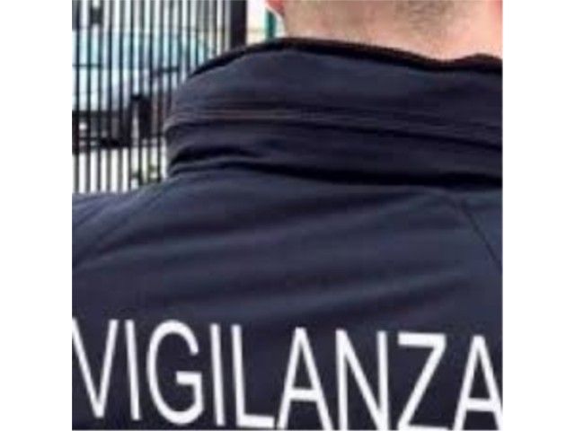 Cosa riserva il 2017 per le imprese leader della vigilanza privata in Italia
