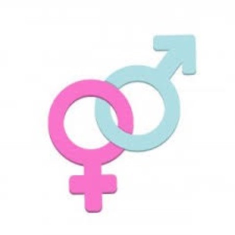 Uomo o donna? Video analisi per digital signage e retail