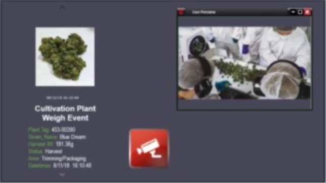 Arteco: soluzioni software e hardware per ProTer, sicurezza nell’industria della cannabis