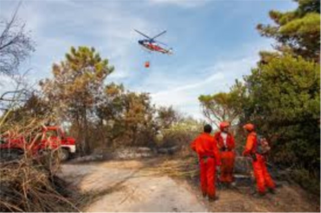 Videosorveglianza contro gli incendi boschivi, stanziati fondi dalla Regione Lazio