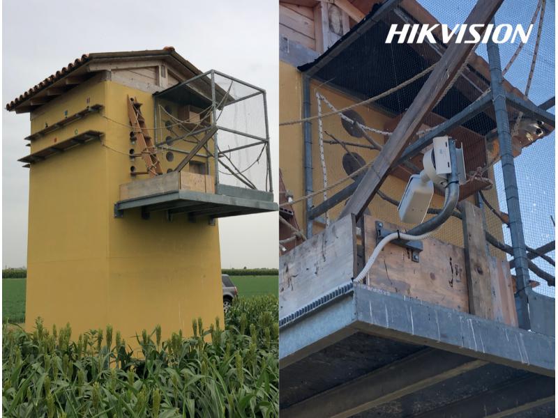 Telecamera varifocale Hikvision per monitorare la nidificazione del Falco Grillaio